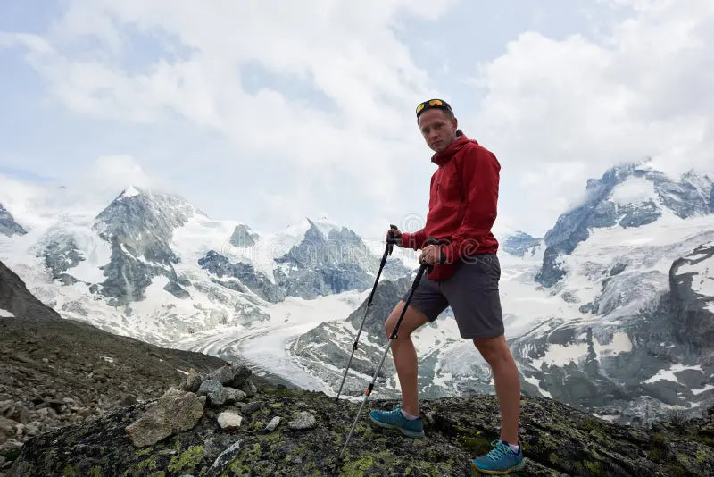 Walking/Hiking Stick
