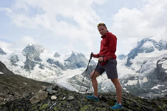 Walking/Hiking Stick